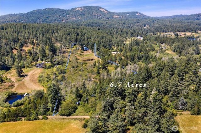 289 Alaska Pl, Friday Harbor, WA 98250 - photo 38