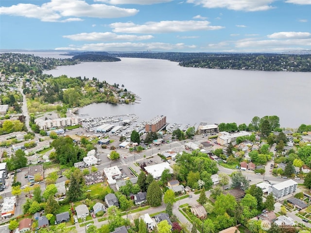 drone / aerial view featuring a water view