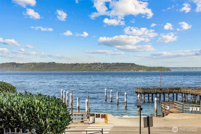 dock area with a water view