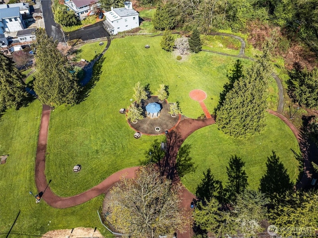 drone / aerial view
