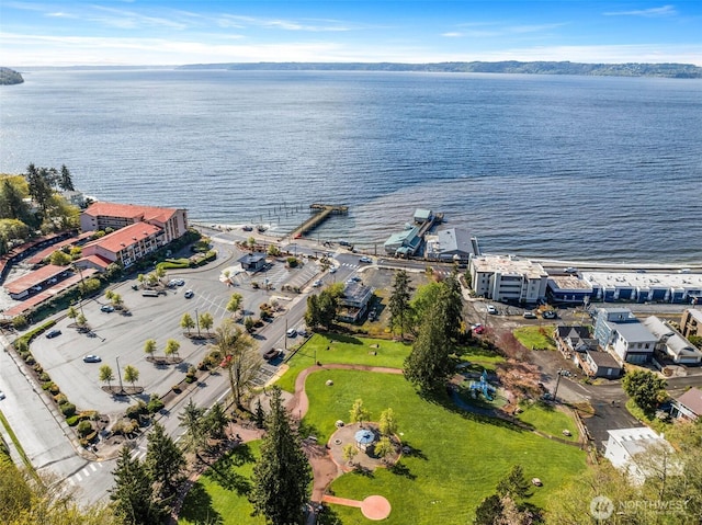 bird's eye view with a water view