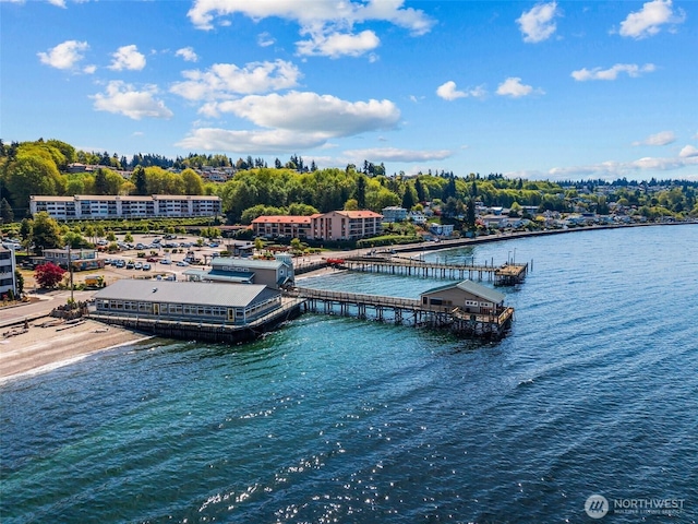 dock area with a water view