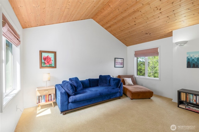 4375 Erin St, Port Townsend, WA 98368 - carpeted living room featuring wooden ceiling, baseboards, and high vaulted ceiling