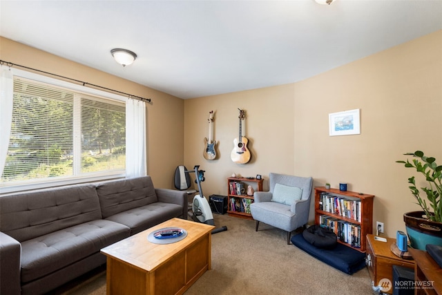 4375 Erin St, Port Townsend, WA 98368 - view of carpeted living room