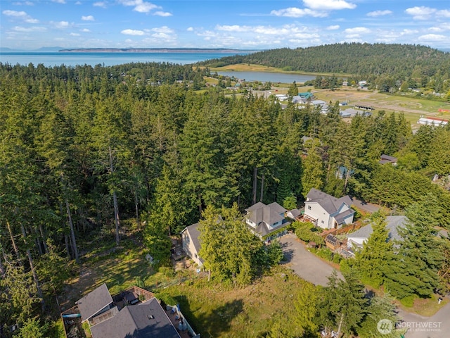 4375 Erin St, Port Townsend, WA 98368 - aerial view of property and surrounding area with a forest and a large body of water