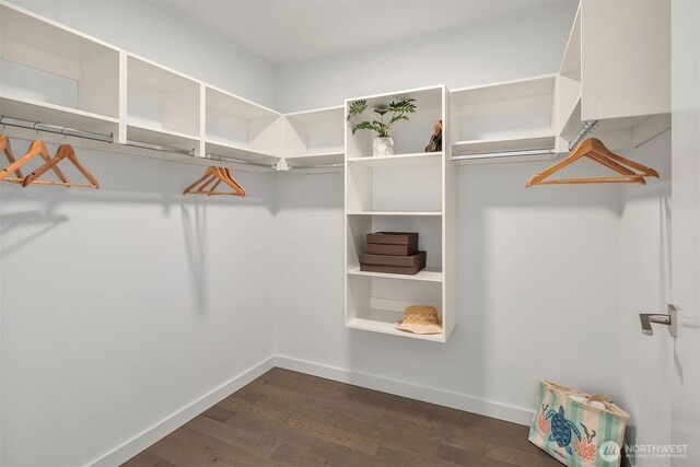 spacious closet with dark wood finished floors