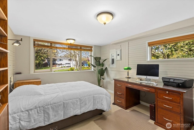 bedroom featuring multiple windows