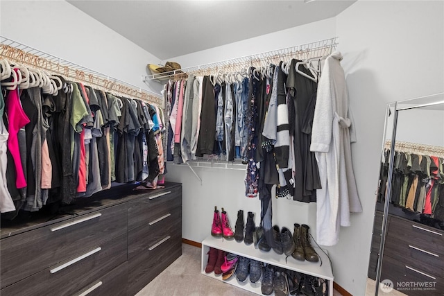 spacious closet featuring carpet floors