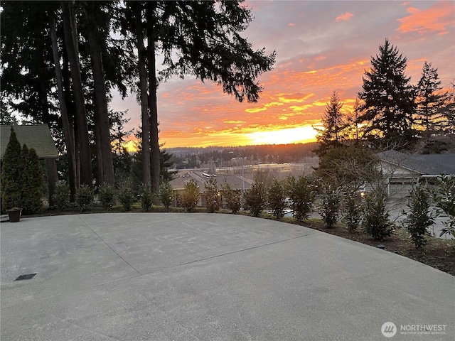 12105 SE 23rd St, Bellevue, WA 98005 - view of patio / terrace