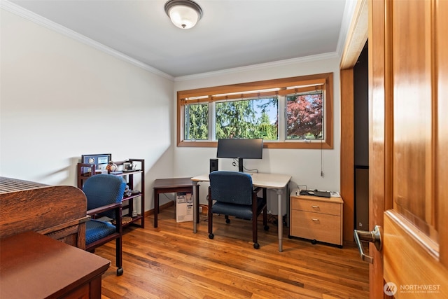 12105 SE 23rd St, Bellevue, WA 98005 - office area with crown molding and light wood-style flooring