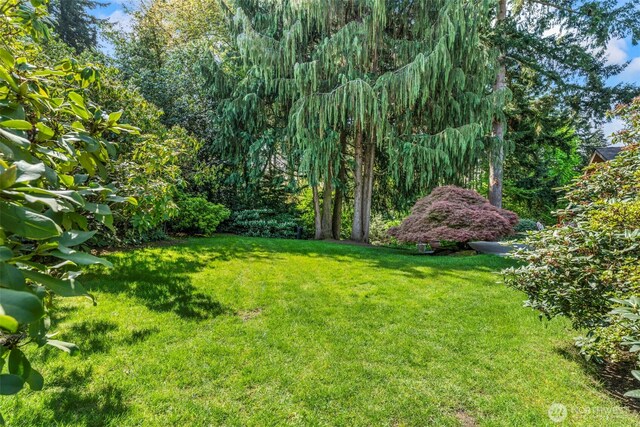 12105 SE 23rd St, Bellevue, WA 98005 - view of yard