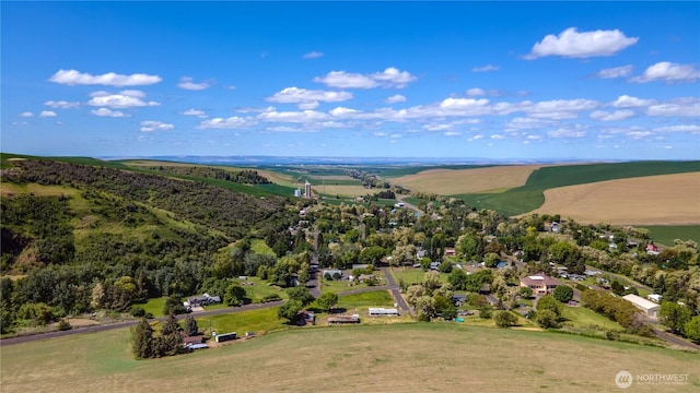 153 Biscuit Ridge Rd, Dixie, WA 99329 - drone / aerial view