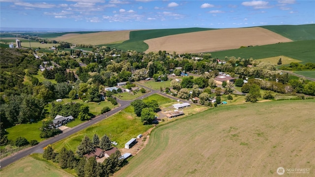 153 Biscuit Ridge Rd, Dixie, WA 99329 - overview of rural landscape