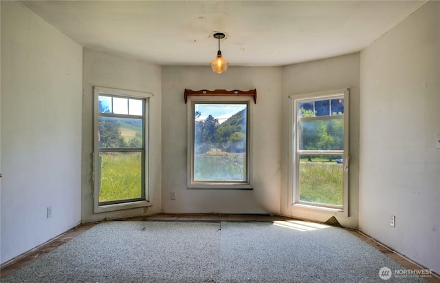 153 Biscuit Ridge Rd, Dixie, WA 99329 - view of unfurnished room