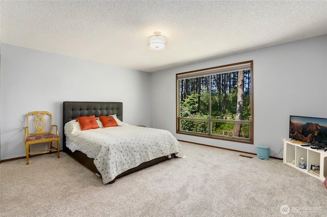 1614 Mckinnon Dr, Oak Harbor, WA 98277 - bedroom with carpet flooring, baseboards, and a textured ceiling