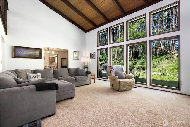 1614 Mckinnon Dr, Oak Harbor, WA 98277 - carpeted living room featuring high vaulted ceiling and wooden ceiling with exposed beams