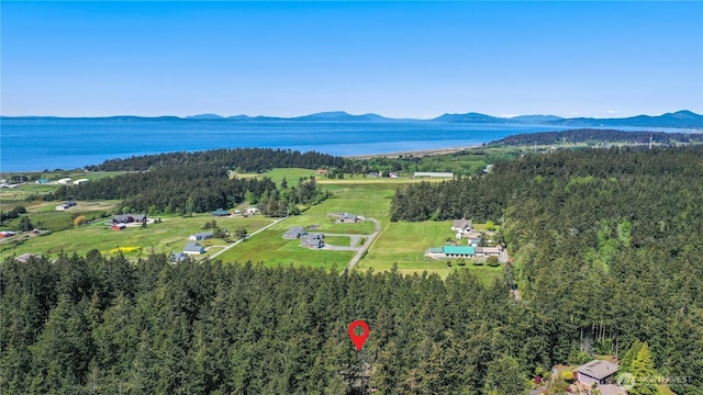 1614 Mckinnon Dr, Oak Harbor, WA 98277 - bird's eye view of a heavily wooded area and a water and mountain view