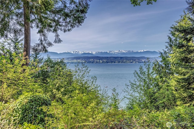 property view of water featuring a mountain view
