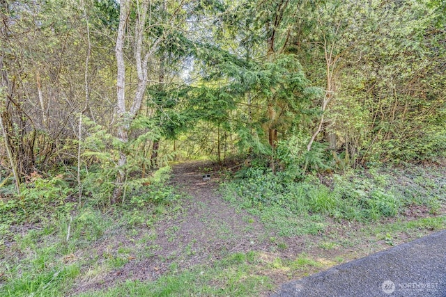 view of nature with a forest view