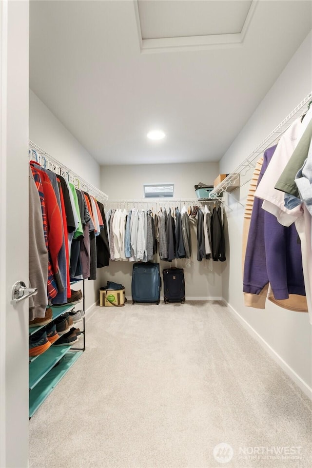 walk in closet with carpet flooring and attic access