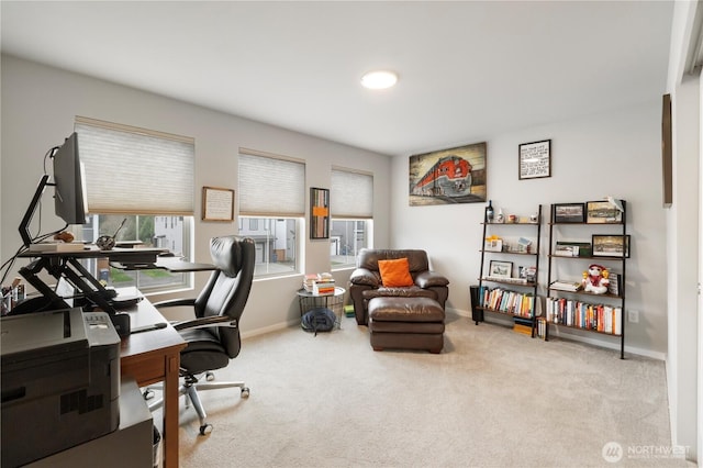 office space featuring carpet floors and baseboards