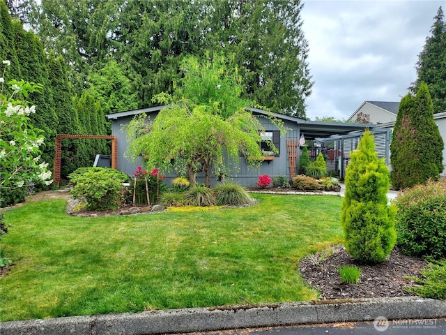 view of yard