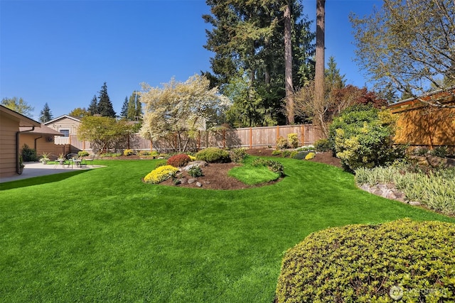 view of yard featuring a patio and a fenced backyard