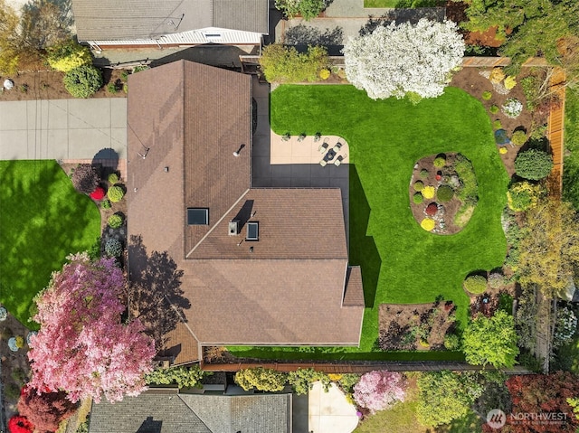 bird's eye view
