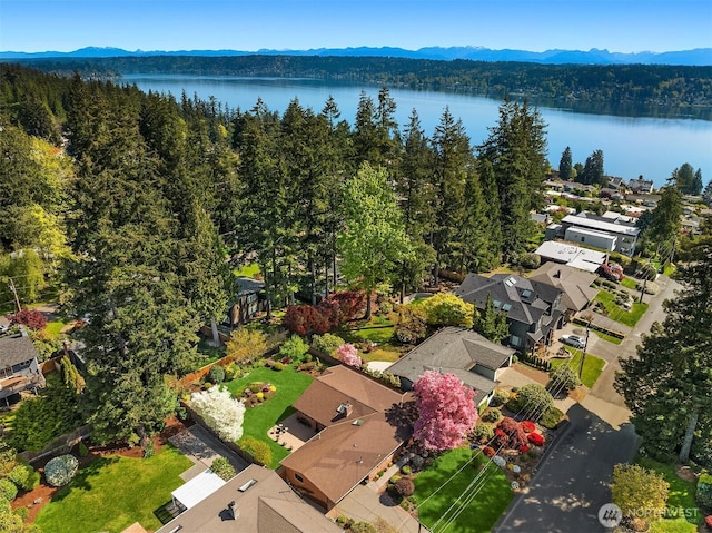 aerial view featuring a view of trees and a water and mountain view