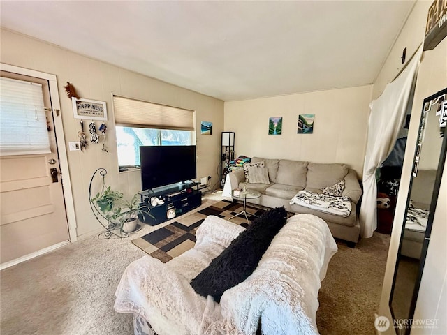 living room with carpet floors