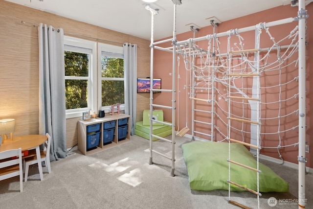 recreation room featuring carpet