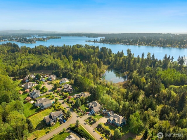 aerial view featuring a water view, a view of trees, and a residential view
