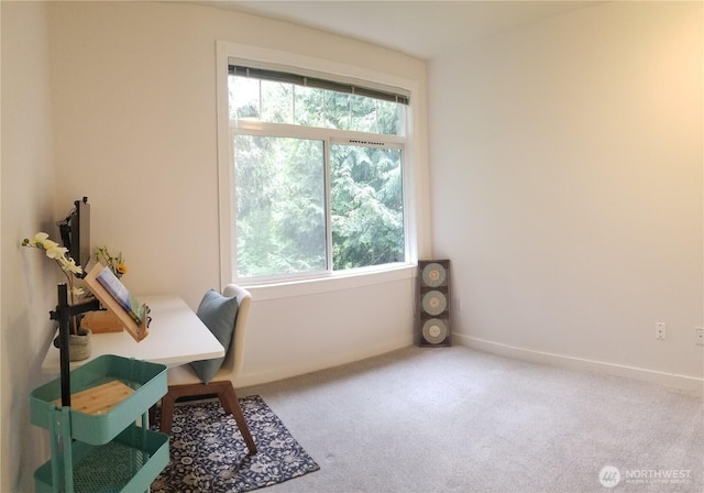 carpeted office space with baseboards