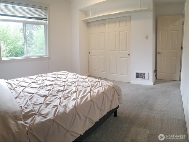 bedroom featuring carpet flooring and a closet