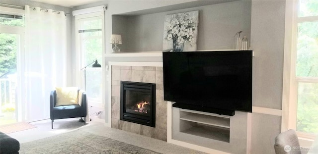 living room featuring a fireplace and healthy amount of natural light