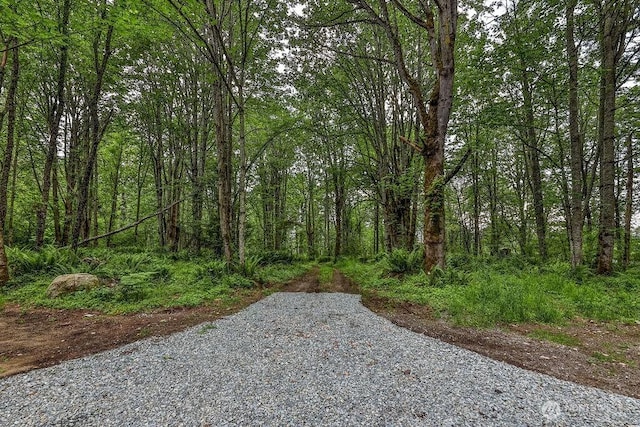 27716 114th Ave E, Graham, WA 98338 - view of yard with a view of trees