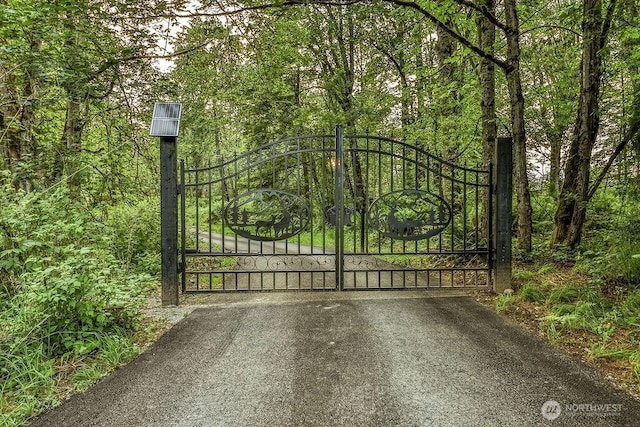 27716 114th Ave E, Graham, WA 98338 - view of gate featuring a wooded view