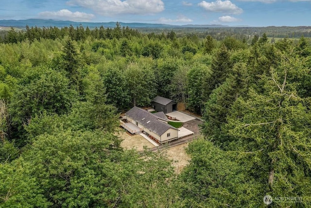 27716 114th Ave E, Graham, WA 98338 - bird's eye view featuring a view of trees