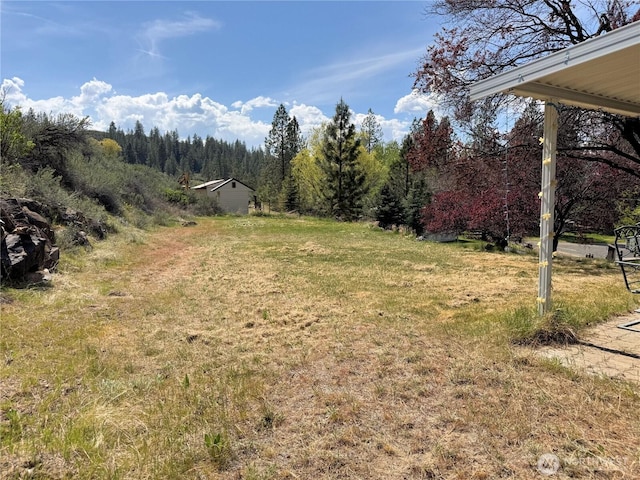 view of yard featuring a wooded view