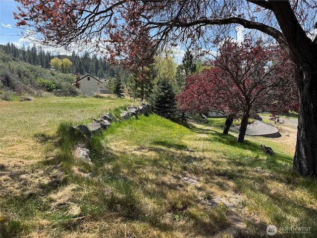 view of yard with a view of trees
