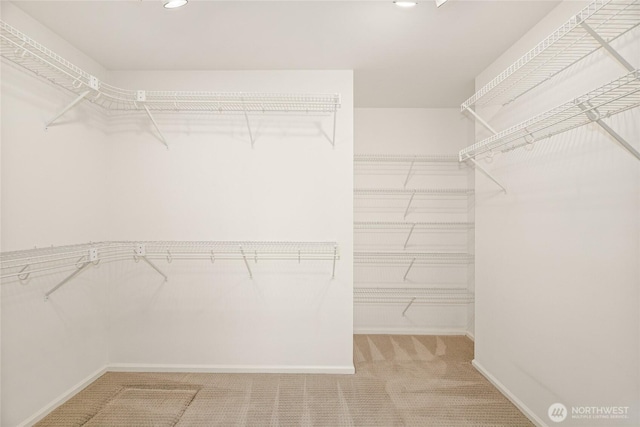 walk in closet with carpet