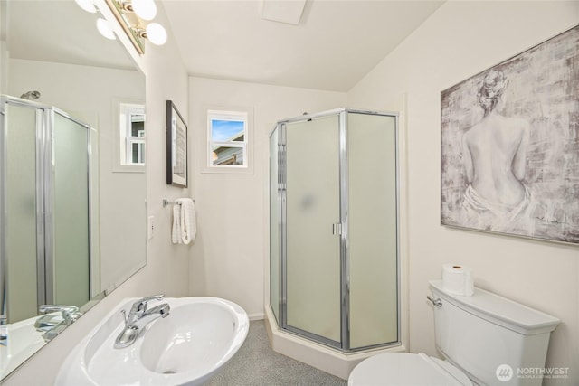 full bathroom featuring a sink, toilet, and a shower stall