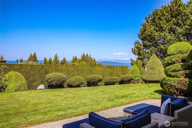 view of yard with a patio area