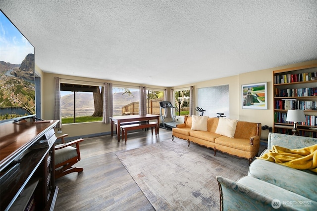 living area featuring a textured ceiling and wood finished floors
