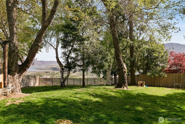 view of yard featuring a fenced backyard and a mountain view