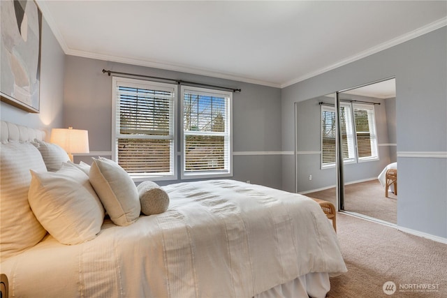 bedroom featuring crown molding, carpet flooring, and baseboards