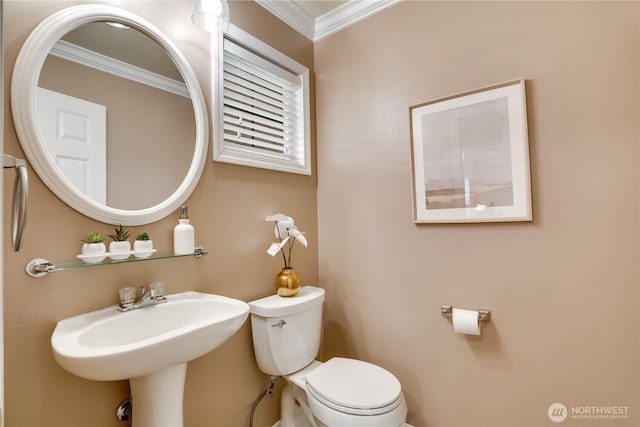 bathroom featuring ornamental molding, toilet, and a sink