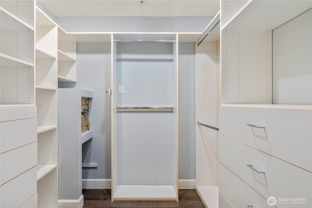 spacious closet featuring dark wood-type flooring