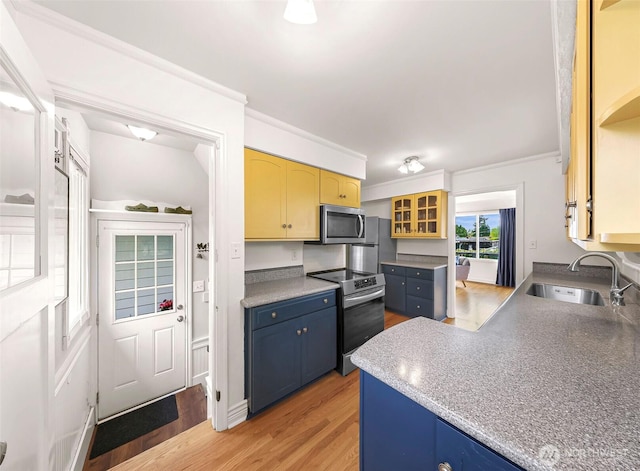 kitchen featuring light wood-style floors, blue cabinetry, a sink, glass insert cabinets, and stainless steel appliances