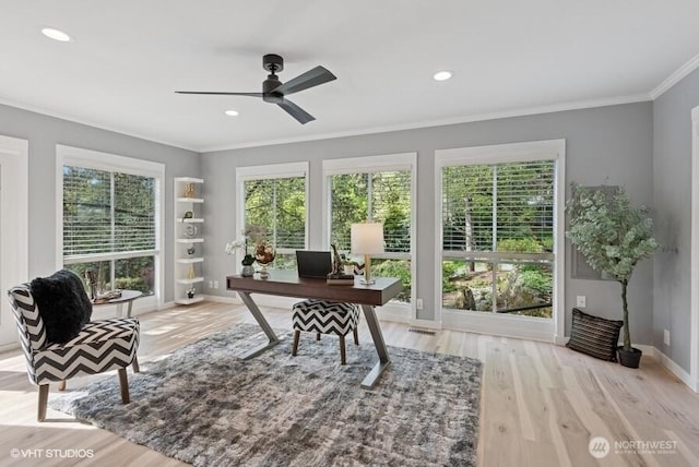office space with crown molding, ceiling fan, and wood finished floors